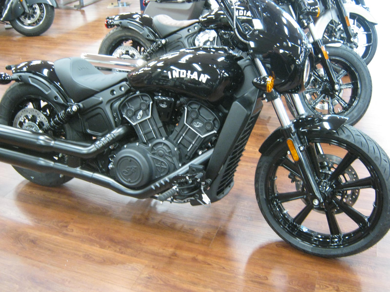 indian-scout-rogue-annapolis-chesapeake-cycles