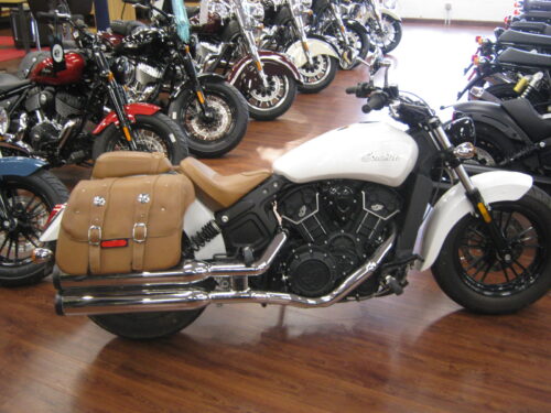 indian-scout-60-used-white